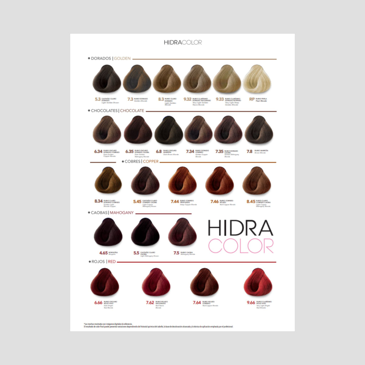 HIDRACOLOR TINTE 90GR CON PEROXIDO